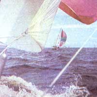 Разновидностью парусного спорта являются дальние спортивные плавания на яхтах, привлекательные для многих яхтсменов.