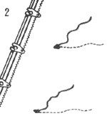 2. Индикаторы на наветренной стороне поднимаются вверх; нужно добрать стаксель шкот.
