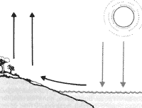 Массы теплого воздуха поднимаются над землей и на их место устремляется более холодный воздух с моря. Этот ветер в сторону берега известен как дневной (морской) бриз.