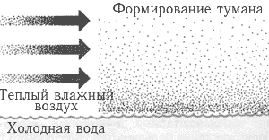 Адвективный туман образуется, когда теплый влажный воздух лежит на поверхности холодной воды.