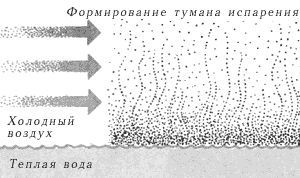Испарения арктических морей возникают там, где холодные массы воздуха перемещаются над теплой водой.