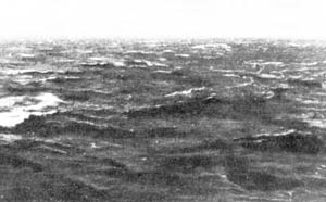 ������ ����� (5 ������).