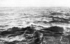 ������� ����� (7 ������).