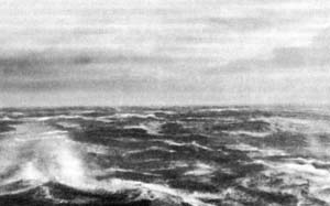 ����� (9 ������).