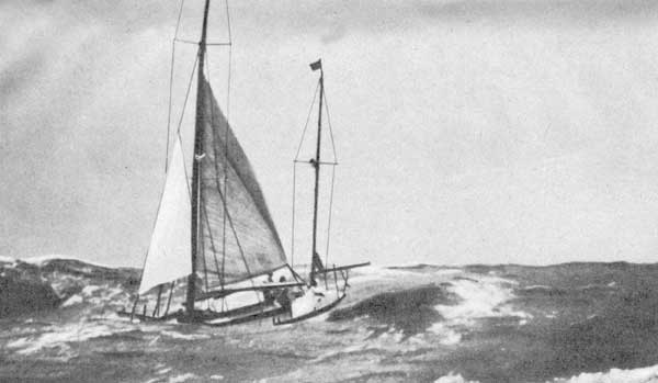 ��� "������" �� ������� � ������� ����� ��� ������� �������� ����� �� ����� ����� � ����-��������-����� 40 ������ �������� 52 ����.