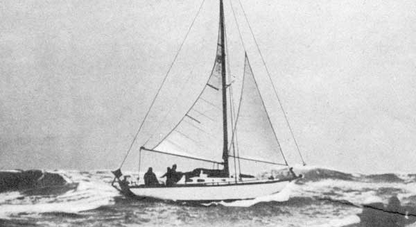 "���� III" ��� 8-������� ������ ����������� ���� ��������, ���������  "����" ���������� ��� ���������� "������". ������� ��������� �� ���������, ��� ��� ������� ������.