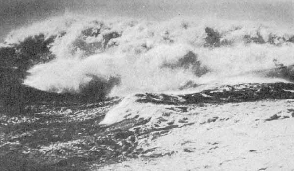 �������� ����� ������� ������. ������ ������, ��� ����� �����-���� ���� ��� ���� ��������� ����� ������ �� ����� ��������.