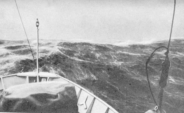 ������� ����� � �������� ���������. ����� ����� �� ������� �����������, ����� ���������� ���� ������ �� �������������� ������ � ������ �� ���������� ��������.